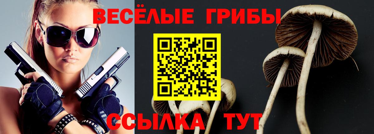 Чайковский  как найти закладки  Вход с VPN  Галлюциногенные грибы прущие грибы 